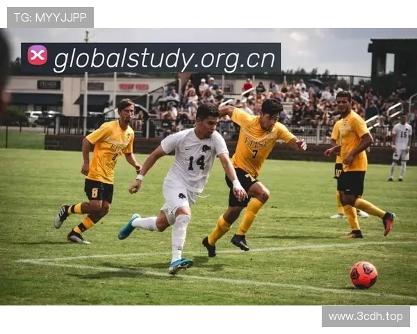 ✅体育直播🏆世界杯直播🏀NBA直播⚽- 美海军一伞兵表演时降落至观众群 致2人受伤- sports